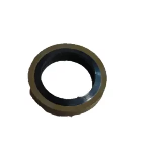 Alternative view of CO Joint Banjo