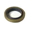 CO Joint Banjo