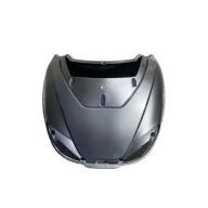 PST Topcase - Gris métallisé