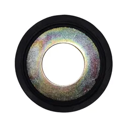 EVST Rondelle cache-poussière de roulement de colonne - Catalogue F2-09